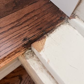 In And Out Floors - a close up of a wood floor - Flooring Near Me - Warren, Michigan In And Out Floors - a close up of a wood floor - Flooring Near Me - Warren, Michigan