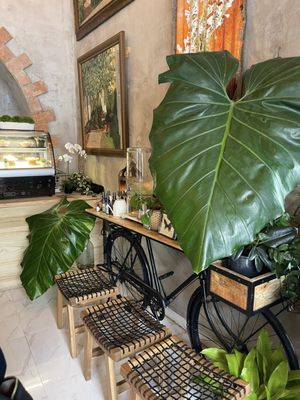 Café Botánico by null