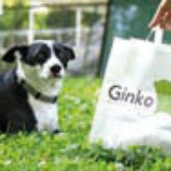 Ginko