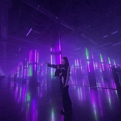Museum Fiasco