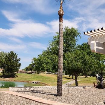 JSR Maintenance - After - Tree Services Near Me JSR Maintenance - After - Tree Services Near Me