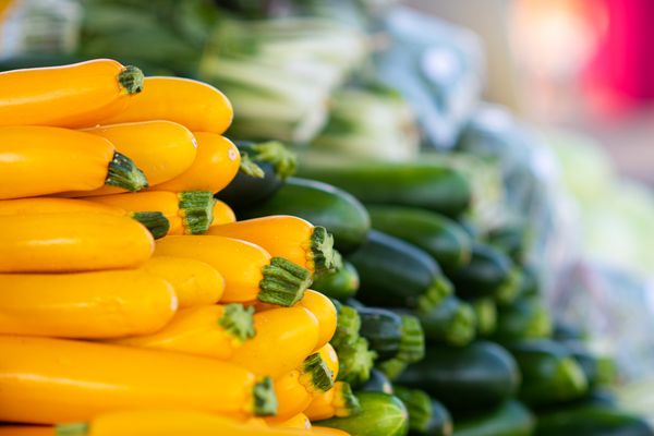 The Boise Farmers Market