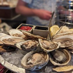 Pearl Diver - Oysters