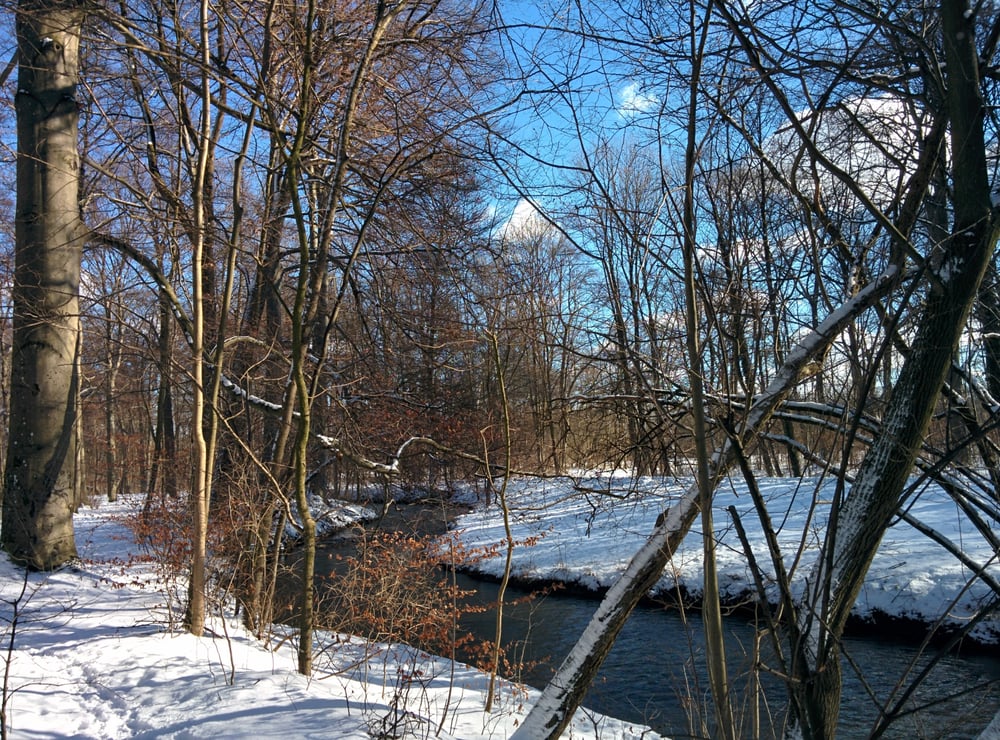Englischer Garten Nord