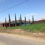Photo of Quinta Ortiz