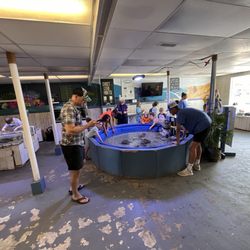 Topsail Aquarium