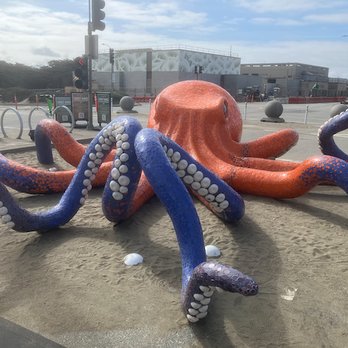 Sunset Dunes - Mr. Octopus - Parks Near Me - San Francisco, California Sunset Dunes - Mr. Octopus - Parks Near Me - San Francisco, California