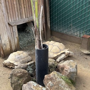 Monterey Zoo - Zoos Near Me - Salinas, California Monterey Zoo - Zoos Near Me - Salinas, California