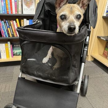 Books Inc - A good boy loves a good book. - Bookstores Near Me - Mountain View, California