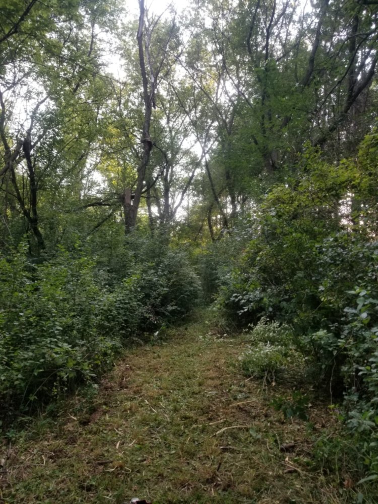 Slide of BFH Services