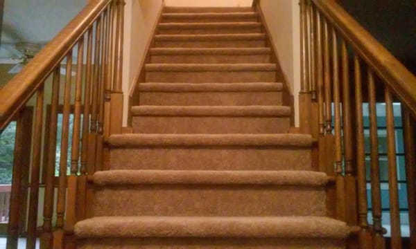 True & Reasonable Services Logo