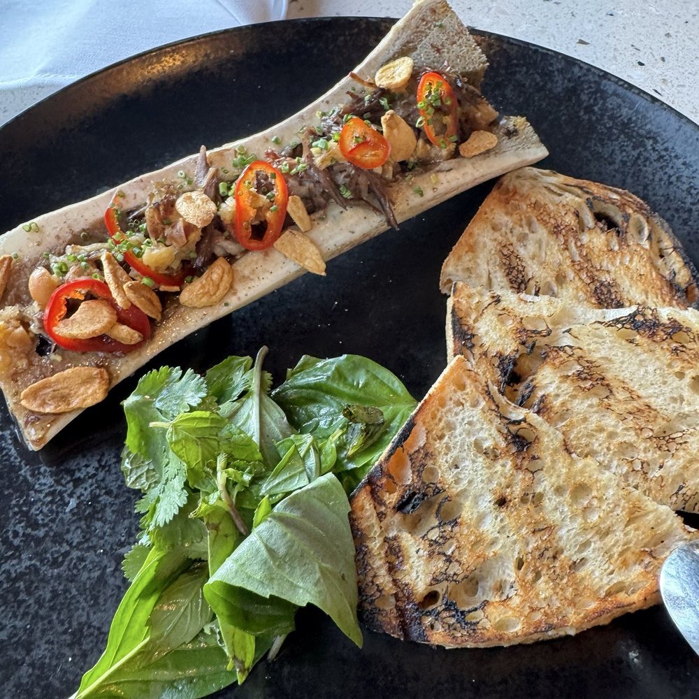 Bone Marrow Bone Marrow