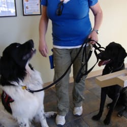 Angelic Canines Dog Training - Big Gus, the assistance dog with my Reggie