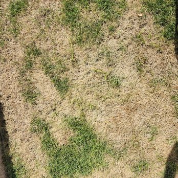 TruGreen Lawn Care - Lawn Services Near Me - Wayne, New Jersey