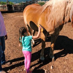 Music Meadows Ranch