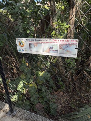 Manatee Viewing Center by null