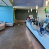 Ingleside Animal Hospital gift card