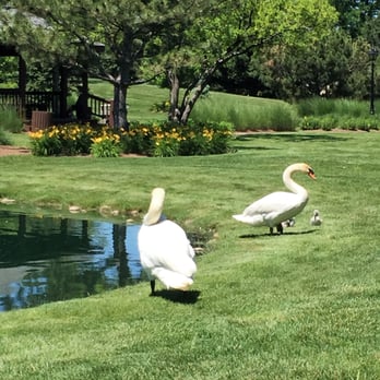 Dunne Park - Parks Near Me - Rosemont, Illinois
