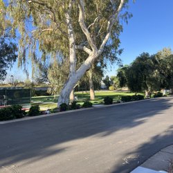 La Hacienda Rv Resort - This was the view right across the street.