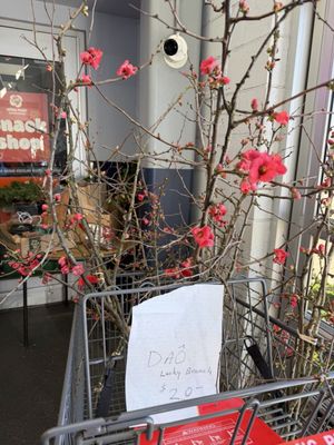 Hong Phat Supercenter by null