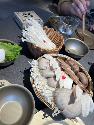 Nanshan Hot Pot - Flushing｜南山•熊猫烫火锅 - 法拉盛店 by null