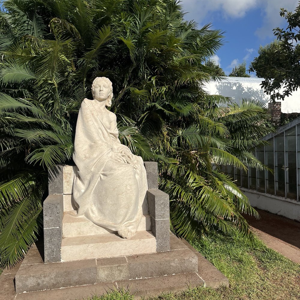 Arruda Pineapple Plantation - This diva - Fruits & Veggies Near Me - Ponta Delgada, 20