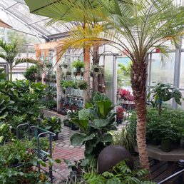 Plant greenhouse