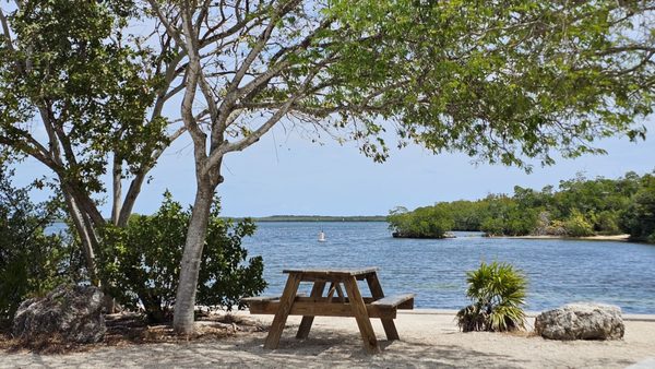 John Pennekamp Coral Reef State Park by null