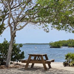 John Pennekamp Coral Reef State Park - March 2025