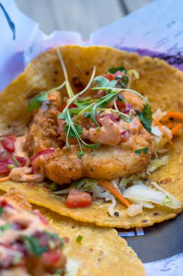 El Barco | Tacos x Tequilas by null