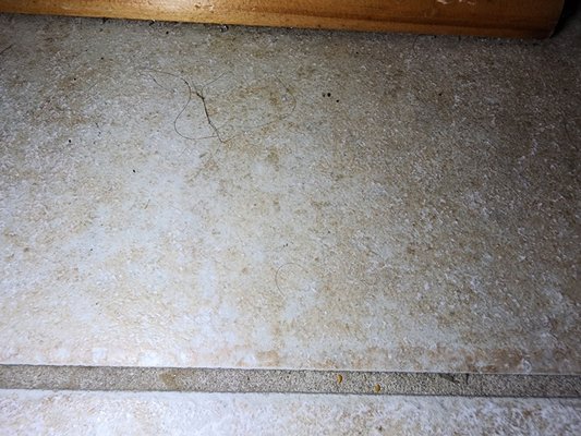 Shell Island Resort by null