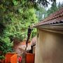 Photo of Grace Roof Cleaning