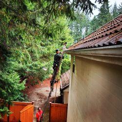 Grace Roof Cleaning - Ashton cleaning some steep roof gutters