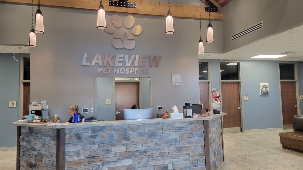 Lakeview Pet Hospital - pet boarding facility in Oklahoma City, OK
