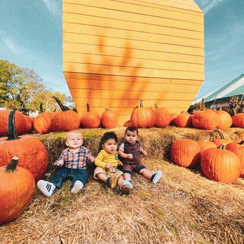 Burke Nursery & Garden Centre - Nurseries & Gardening Near Me - Burke, Virginia