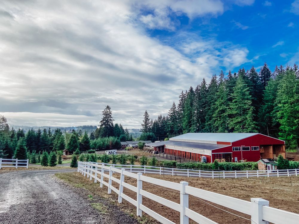 TAMARIND RANCH Updated October 2024 11 Photos 19665 S Lyons Rd