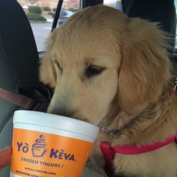 Keva Juice - My golden retriever puppy loves frozen bananas from Keva! - Juice Bars & Smoothies Near Me - Albuquerque, New Mexico