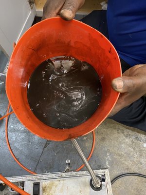 Emma Plumbing and Drain Services Logo