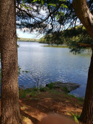 NATURE CONSERVANCY - DEVIL’S DEN PRESERVE - Updated May 2024 - 63 ...