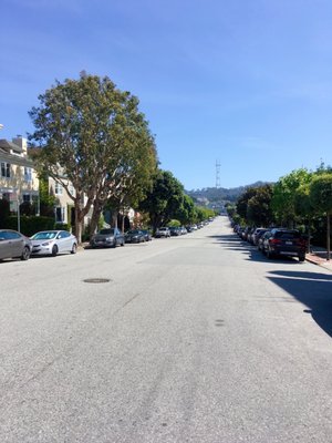 Laurel Heights by null