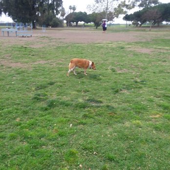 Arbor Dog Park - Dog Parks Near Me - Los Alamitos, California Arbor Dog Park - Dog Parks Near Me - Los Alamitos, California
