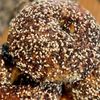 Popup Bagels gift card