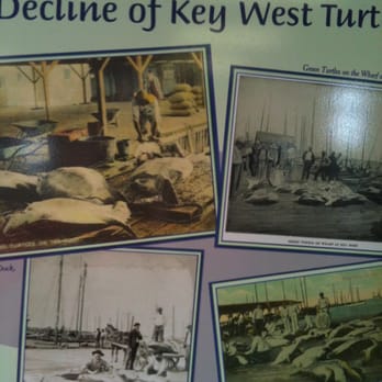 Turtle Kraals Museum - Museums Near Me - Key West, Florida Turtle Kraals Museum - Museums Near Me - Key West, Florida