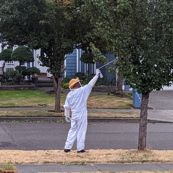 Rodgers Pest Control - Pest Control Near Me Rodgers Pest Control - Pest Control Near Me