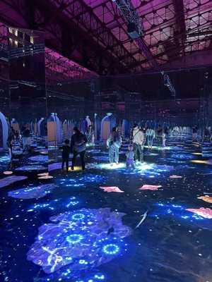 Bubble Planet: An Immersive Experience - Oakland by null