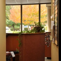 Davis Family Chiropractic and Massage - Lots of natural light (good vibes here).