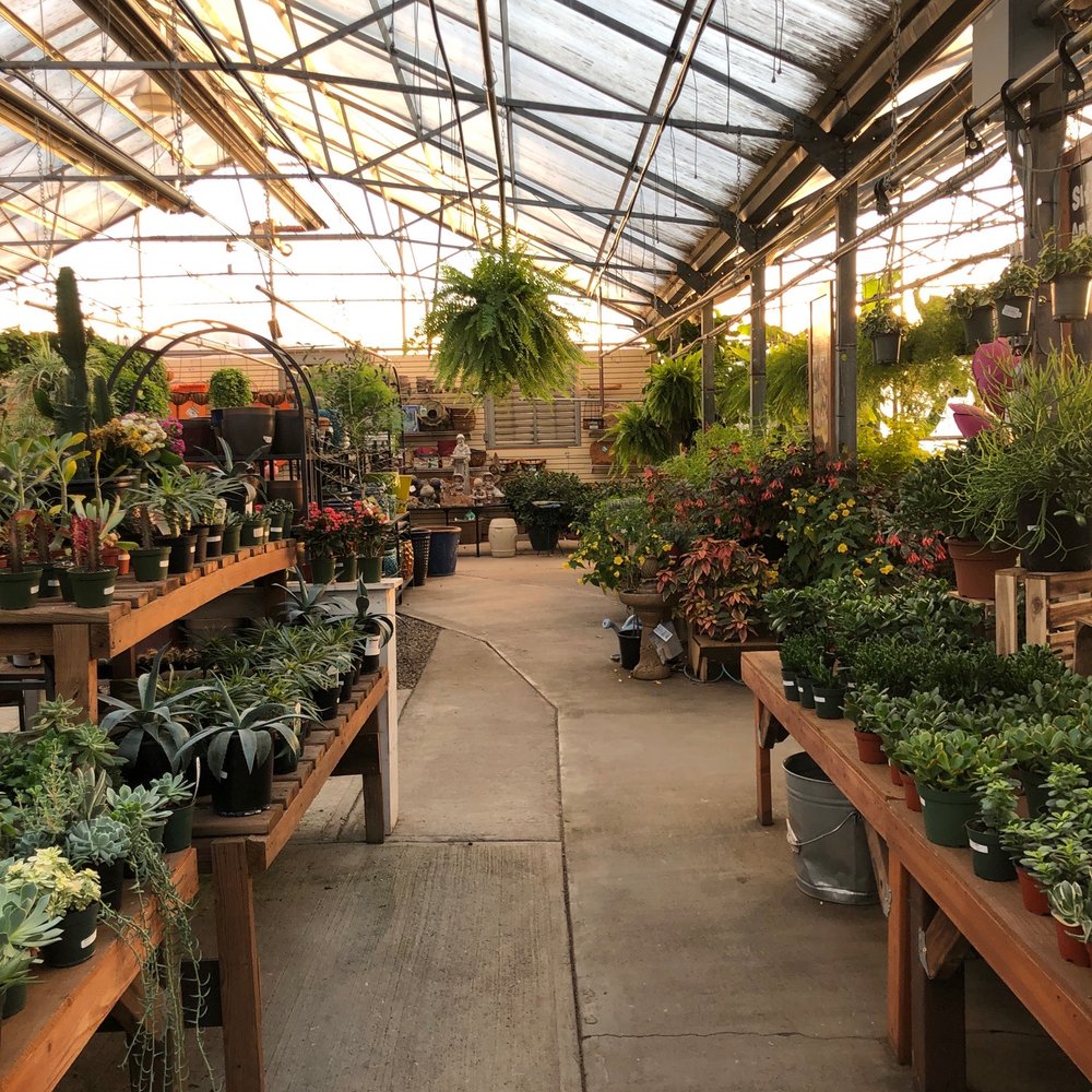 Top 10 Best Plants in Fort Collins, CO Last Updated Top 10 Best Plants in Fort Collins, CO Last Updated
