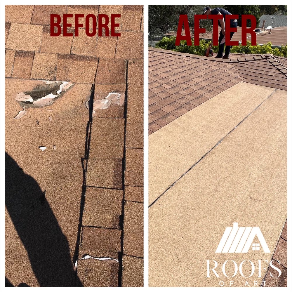 Slide of Roofs of Art