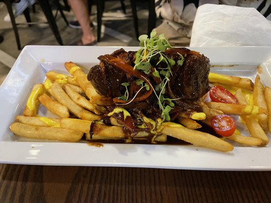 Iguana On Park by null