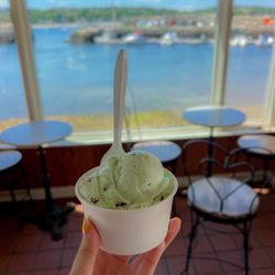 The Ice Cream Store
